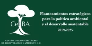 Planteamientos estratégicos 2019-2024 CeIBA