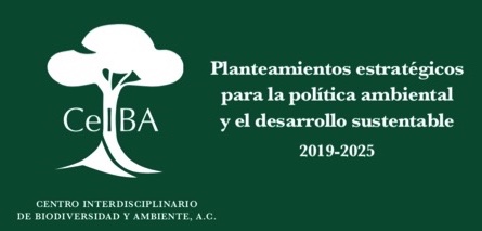 Planteamientos estratégicos 2019-2024 CeIBA