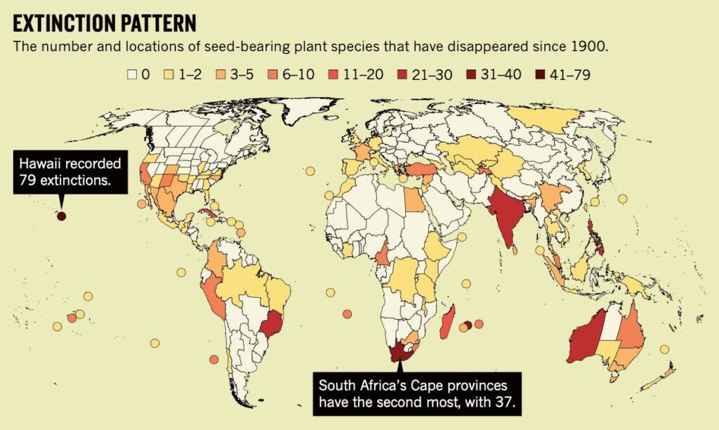 Seed’s plant extinction from 1900